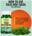 Morpheme Tulsi-Holybasil Capsule thumbnail