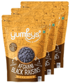 Yumleys Premium Afghani Black Raisins (250gm Each) Seedless thumbnail