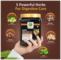 Srishma Gas Relief Pro Constipation Powder thumbnail
