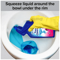 BB Home Toilet Cleaner Rose thumbnail
