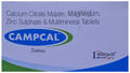 Campcal Tablet thumbnail