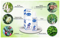 Deemark Ortho Oil (50ml Each) thumbnail