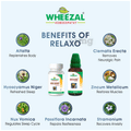 Wheezal Relaxo Tablet thumbnail
