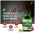 Vlado's Himalayan Organics Plant Based Vitamin B12 Natural Vegetarian Capsule thumbnail