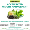 Bliss Welness Weight Management Green Tea + Garcinia Cambogia + Green Coffee Bean Extract Veg Tablet thumbnail