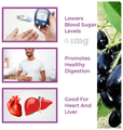 Srishma Jamun Seed Powder thumbnail