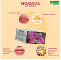 Mimansha Moringa Lip Balm Rose thumbnail