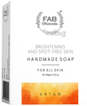 Fab O Naturals Ubtan Handmade Soap thumbnail