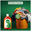 Dettol Antiseptic Disinfectant Liquid thumbnail