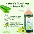 Vansaar 45+ Aloe Vera Amla Juice thumbnail