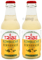 Tribe Kombucha Naturally Sparkling Probiotic Drink Gingerade (210ml Each) Ginger & Lemon thumbnail