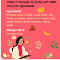 Roro Saur Nourishment-Rich Puree 6+ Months (100gm Each) Millet-Y-Pumpkin thumbnail