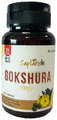Saptarishi Gokshura Tablet (72 Each) thumbnail