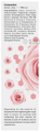 Dr Morepen Nourish Deep Moisturizing Lotion thumbnail