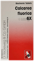 Dr Reckeweg &Co.gmbH Biochemic Tablet Calcarea Fluorica 6X thumbnail