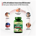 Vlado's Himalayan Organics Plant Based Vitamin B12 Natural Vegetarian Capsule thumbnail