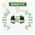 Kbir Immunity Booster Kit Support for Daily Health And Immunity thumbnail