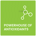 EMPIRE 1900 Multivitamin| Vitamins and Wellness Supplement| Daily Wellness Supplement Tablet thumbnail