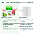 Oziva Plant-Based Collagen Builder | Nutrition Care Powder Berry Orange thumbnail