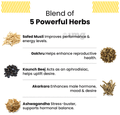 Nirvasa Shilajit Plus Effervescent Tablet Mango thumbnail