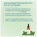 Pratha Essential Oil Pappermint thumbnail