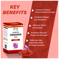 Shri Chyawan Kamini Vidrawan Ras Tablet Kesar Yukta thumbnail