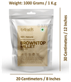 Trinath Browntop Millet thumbnail