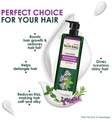 Emami Organic Rosemary Conditioner with Tulsi thumbnail