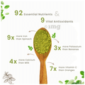 One Living Immunity Boosting Moringa Powder (200gm Each) thumbnail