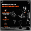 Fuel One Whey Max, Whey Protein Concentrate & Whey Protein Isolate Powder Vanilla thumbnail