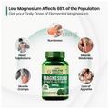 Vlado's Himalayan Organics Magnesium Citrate + Glycinate Tablet thumbnail