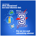 Dermi Cool Ice Cool Shower Gel (250ml Each) thumbnail