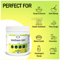 Fooding Xanthan Gum thumbnail