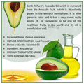 Earth N Pure Avocado Oil thumbnail