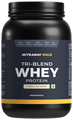 Nutrabay Gold Tri-Blend Whey Protein for Muscle Recovery & Immunity | No Added Sugar | Flavour Vanilla Icecream thumbnail