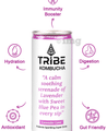 Tribe Kombucha Probiotic Sparkling Super Drink (250ml Each) Lavender Love thumbnail
