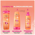 Loreal Paris Dream Lengths Restoring Shampoo thumbnail