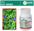 Iafa Aparajita Veg Capsule thumbnail