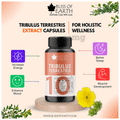 Bliss of Earth Tribulus Terrestris 500mg Capsule thumbnail