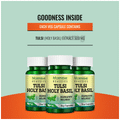 Morpheme Tulsi-Holybasil Capsule thumbnail