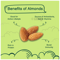 Yumleys Premium California Almonds Roasted & Salted thumbnail