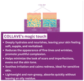 Aiderm Collave Gotu Kola Cream (Vegetarian collagen) for Anti - Scar , Stretch Marks & Maintain Skin elasticity Cream thumbnail