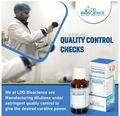 LDD Bioscience Caladium Seguinum Dilution (100ml Each) 10M thumbnail