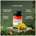 Dr. Era Ayurveda Gokshura Veg Capsule thumbnail