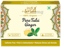 Indisecrets Tea Bag (36gm Each) Pure Tulsi Ginger thumbnail