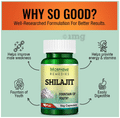 Morpheme Shilajit Capsule thumbnail