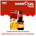 Haemocal Plus Syrup Minty Orange thumbnail