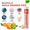 Muditam Ayurveda Amla Orange Fizz Effervescent Tablet (20 Each) thumbnail