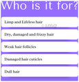 Soul Bound Anti Frizz Conditioner thumbnail