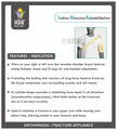 IGR Humerus with Shoulder Grey Large thumbnail